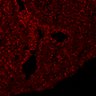 Thumbnail for dataset Fig6A_E14