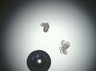 Thumbnail for dataset Fig7B_shLuc