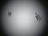 Thumbnail for dataset FigS3A_CHIIR1uM