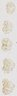Thumbnail for dataset D4AN_TM11.5_G