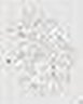 Thumbnail for dataset D4AN_TM14.5_L