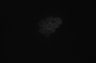 Thumbnail for dataset fig5e