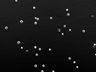 Thumbnail for dataset FigS5a_24h_0.1nm