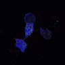 Thumbnail for dataset figS2a