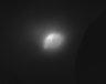 Thumbnail for dataset Fig7_FigS8_tumorsize_Kadcyla