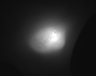 Thumbnail for dataset Fig7_FigS8_tumorsize_Kadcyla-