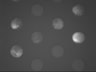 Thumbnail for dataset fig4A_DAPT18