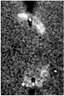 Thumbnail for dataset Fig2-3a