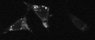 Thumbnail for dataset FigS7_HeLa_ODYA_3_200uM
