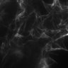 Thumbnail for dataset Fig4a_LifeAct-Kohinoor2_raw