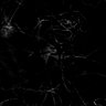 Thumbnail for dataset Fig5_Kohinoor2_SPoD-OnSPAN_2