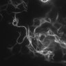 Thumbnail for dataset FigS4_Kohinoor2_SPoD-OnSPAN