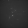 Thumbnail for dataset Figure1B_haploid_control