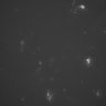 Thumbnail for dataset Figure1B_haploid_thymidine