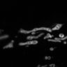 Thumbnail for dataset Fig2B_STED_mitochondria_before