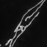 Thumbnail for dataset Fig4A_STED_mitochondial_HBSS12h