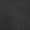 Thumbnail for Figure2D_MC-38_GAS_IFN-v-