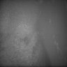 Thumbnail for dataset Whole_brain_POGZWT-Q1038R_20170829_222709