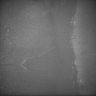 Thumbnail for dataset Whole_brain_POGZWT-Q1038R_20170829_222816