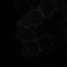 Thumbnail for dataset fig2C_PhyB621-PIF6_0019