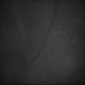 Thumbnail for dataset Whole_brain_POGZWT-Q1038R_20170829_224027