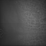 Thumbnail for dataset Whole_brain_POGZWT-Q1038R_20170829_224454