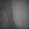 Thumbnail for dataset Whole_brain_POGZWT-Q1038R_20170829_224814