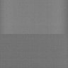 Thumbnail for dataset Whole_brain_POGZWT-Q1038R_20170829_225348