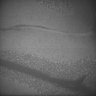 Thumbnail for dataset Whole_brain_POGZWT-Q1038R_20170829_230134
