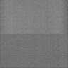 Thumbnail for dataset Whole_brain_POGZWT-Q1038R_20170829_231029
