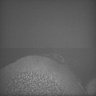 Thumbnail for dataset Whole_brain_POGZWT-Q1038R_20170829_231603