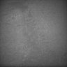 Thumbnail for dataset Whole_brain_POGZWT-Q1038R_20170829_232243