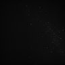 Thumbnail for dataset Whole_brain_POGZWT-Q1038R_20170829_232457
