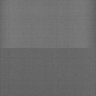 Thumbnail for dataset Whole_brain_POGZWT-Q1038R_20170829_232924