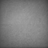 Thumbnail for dataset Whole_brain_POGZWT-Q1038R_20170829_234612