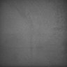 Thumbnail for dataset Whole_brain_POGZWT-Q1038R_20170829_234933