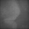Thumbnail for dataset Whole_brain_POGZWT-Q1038R_20170829_235509