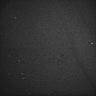Thumbnail for dataset Whole_brain_POGZWT-Q1038R_20170830_00155