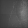 Thumbnail for dataset Whole_brain_POGZWT-Q1038R_20170830_00411