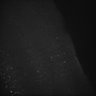 Thumbnail for dataset Whole_brain_POGZWT-Q1038R_20170830_02005