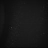 Thumbnail for dataset Whole_brain_POGZWT-Q1038R_20170830_02330