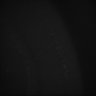 Thumbnail for dataset Whole_brain_POGZWT-Q1038R_20170830_02656