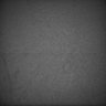 Thumbnail for dataset Whole_brain_POGZWT-Q1038R_20170830_02805