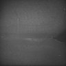 Thumbnail for dataset Whole_brain_POGZWT-Q1038R_20170830_03134