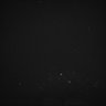 Thumbnail for dataset Whole_brain_POGZWT-Q1038R_20170830_03351