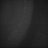 Thumbnail for dataset Whole_brain_POGZWT-Q1038R_20170830_04046
