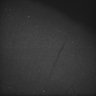 Thumbnail for dataset Whole_brain_POGZWT-Q1038R_20170830_04155