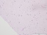 Thumbnail for dataset humanbrain_d0
