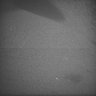 Thumbnail for dataset Whole_brain_POGZWT-Q1038R_20170830_04413