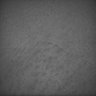 Thumbnail for dataset Whole_brain_POGZWT-Q1038R_20170830_04522